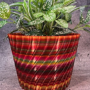 Puede incluir: Una maceta rayada roja, amarilla y verde con un patrón de espiral. La maceta está llena de una planta verde con manchas blancas en las hojas.