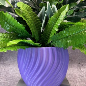 Mellanstor vriden blomkruka för växter av alla slag (pastelllila färg) - 15 cm diameter och 11,5 cm höjd; Modern design; USA-butik