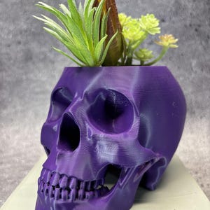 Medium Skull pot for Succulents, Cactus or any Plant (Purple color) - 4.25"x6.5"