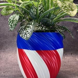 May include: A potted plant with green and white speckled leaves sits in a decorative planter. The planter is painted with blue, white, and red stripes in a spiral design, creating a patriotic theme. The plant pot is a unique home decor item.