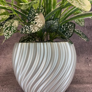 May include: A decorative houseplant in a white, swirled ceramic pot. The plant features green and white speckled leaves. The pot has a rounded shape with a textured, wave-like design. The plant is a vibrant addition to any home decor.