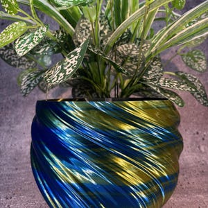 Pode incluir: Um vaso azul e dourado com um design de espiral, contendo uma planta verde com manchas brancas. O vaso é feito de um material brilhante e tem um design único e ondulado.