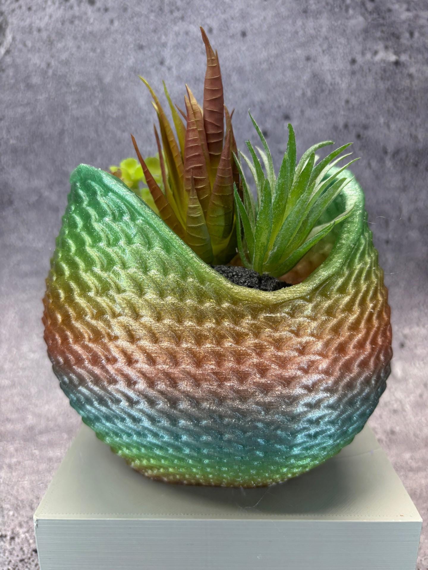 Mermaid tail cactus - Etsy.de