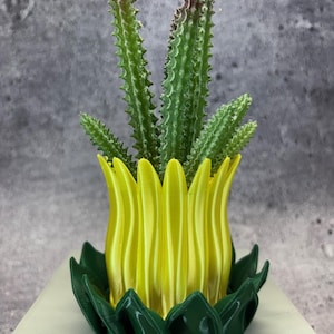Extra Small Flowerpot with Saucer for Plants of all kinds (Yellow and Green color) - 3" Diameter by 3.25" Tall; Unique; USA Store