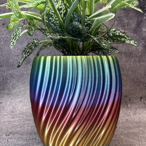 May include: A plant pot with a vertical spiral ribbed texture and a gradient finish that transitions from green at the top to blue, purple, and red, ending in a gold base. A green and white variegated houseplant is planted inside the container.