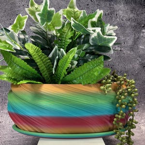 Op de afbeelding: Een kleurrijke, decoratieve plantenbak met een wervelend ontwerp in rood, blauw, groen en geel. De plantenbak bevat kunstplanten, waaronder varens en klimop. Een hangplant met kleine, ronde groene bladeren.