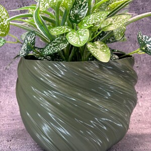 May include: A green, swirl-shaped ceramic planter with a leafy green plant with white variegation.