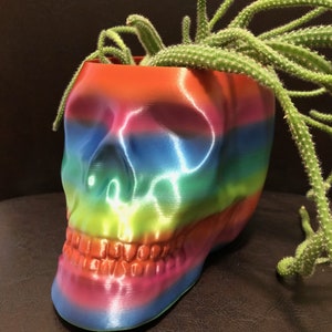 Large Skull pot for Succulents, Cactus or any Plant - 5.5&quot; wide by 8&quot; Deep - (Multi-color); USA Store