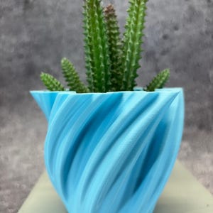 Puede incluir: Una pequeña maceta azul claro con un patrón en espiral que contiene una planta de cactus verde. La maceta tiene un diseño único en espiral y está hecha de un material sólido y opaco. El cactus tiene múltiples tallos verdes con pequeñas hojas puntiagudas.