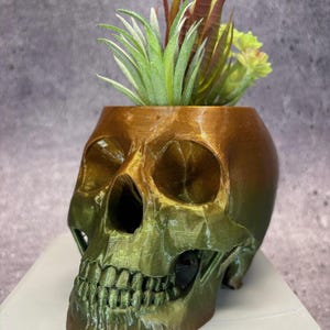 Medium Skull pot for Succulents, Cactus or any Plant (Metallic Copper and Bronze color) - 4&quot;x6&quot;; USA Store
