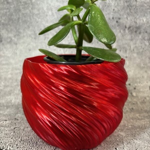 Puede incluir: Una pequeña planta verde en una maceta de cerámica roja con un patrón de espiral. La maceta tiene un acabado brillante.