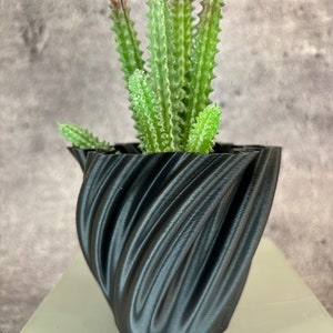 Op de afbeelding: Een zwarte, 3D-geprinte plantenpot met een draaiend ontwerp, met daarin een groene succulent met rode toppen.