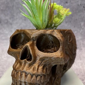 May include: A brown skull-shaped planter with a detailed design. The planter holds a variety of green and red-tipped artificial succulents. The skull has eye sockets, a nose cavity, and a detailed jawline. The planter is made of a textured material.
