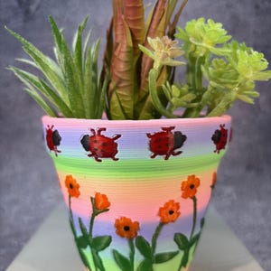 Puede incluir: Una maceta de cerámica rosa con un diseño de rayas arcoíris e ilustraciones de mariquitas y flores. La maceta está llena de suculentas verdes.