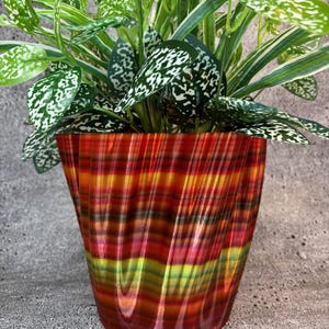 May include: A red, orange, yellow, and green striped planter with a wavy design. The planter is filled with a green leafy plant.