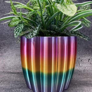 Pode incluir: Um vaso de plantas canelado e colorido com um gradiente de arco-íris de roxo, rosa, laranja, verde e azul. O vaso contém uma planta verde com folhas salpicadas de branco e verde. O vaso tem uma base ondulada e recortada.