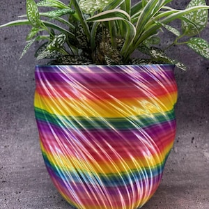 May include: A vibrant, rainbow-colored plant pot with a swirling design. The pot holds a green plant with white-speckled leaves. The pot's colors transition from red to yellow to green to purple.