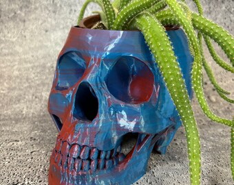 Large Skull pot for Succulents, Cactus or any Plant - 6"x8" (Blue Raspberry color)