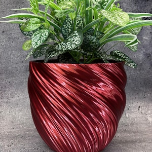 May include: A vibrant red, spiral-textured planter pot holding a lush green plant with white-speckled leaves. The pot's design features a swirling pattern, adding a modern touch to the plant's presentation. The plant has long, slender leaves.