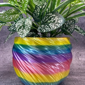 Pode incluir: Um vaso de plantas colorido, com espirais de arco-íris, contém uma planta verde e branca com bolinhas. O design do vaso apresenta um padrão em espiral com faixas amarelas, verdes, azuis, roxas e rosas. A planta tem folhas grandes e manchadas.