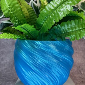 May include: A blue, swirl-shaped ceramic planter with a green leafy plant inside.