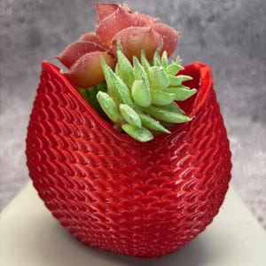 Puede incluir: Una maceta roja vibrante y texturizada, con forma de tulipán, contiene un pequeño arreglo de suculentas. El arreglo presenta suculentas verdes y rojizas, creando un contraste llamativo con la maceta roja. La maceta está sobre una superficie clara.