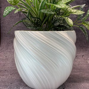 May include: A white, swirled ceramic planter holding a green and white plant. The planter has a unique, textured design with a spiral pattern. The plant features green leaves with white spots and long, thin green and white striped leaves.