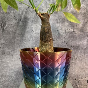 Unique Planter-Medium Flower Pot for Plants of all kinds - 6" Diameter by 4.5" Tall Colorful Planter Unique Planter; USA Store