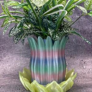 May include: A colorful, 3D-printed flower pot with a matching saucer, holding a green plant with white-speckled leaves. The pot is vertically striped with pastel colors: pink, blue, and green. The saucer is a light yellow-green color.