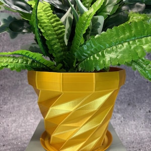 May include: A yellow geometric-patterned flower pot with a matching saucer holds a variety of green plants. The pot has a textured, angular design. The plants feature various shades of green and white.