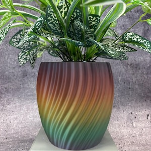 May include: A potted plant with green and white speckled leaves sits in a decorative, swirling-patterned planter. The planter transitions from brown to yellow to green. The plant is on a white stand.