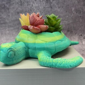 May include: A turquoise and green turtle-shaped planter holding colorful faux succulents. The turtle has a detailed shell and head, with a vibrant mix of yellow, red, and green plants. A decorative item for home or office.