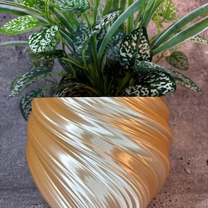 May include: A potted plant with green and white speckled leaves sits in a gold-colored, spiral-textured pot. The pot has a glossy finish and is set against a gray background. The plant's leaves are a vibrant green.