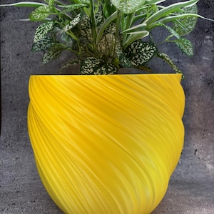 Könnte beinhalten: Ein leuchtend gelber, spiralförmig strukturierter Pflanzentopf enthält eine grüne Pflanze mit weiß gefleckten Blättern. Das Design des Topfes hat eine fließende, geschwungene Form und erzeugt eine moderne Ästhetik. Die Blätter der Pflanze haben ein gesprenkeltes Muster.