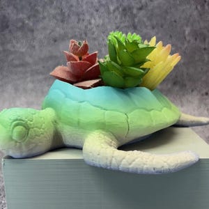 May include: A turtle-shaped planter in shades of green, blue, and white, holding colorful faux succulents. The turtle has a textured shell and head, with the plants adding vibrant red, green, and yellow hues. A decorative item for home decor.