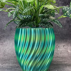 May include: A decorative green and blue plant pot with a swirling design, holding a green and white leafy plant. The pot has a textured, ridged surface. The plant has green leaves with white spots and stripes.