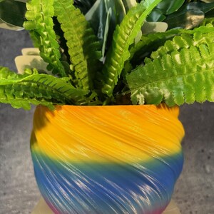 May include: A colorful, swirl-patterned ceramic planter with a yellow, blue, and purple gradient. The planter is filled with green leafy plants.