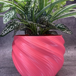Puede incluir: Una maceta de color rosa vibrante con una textura estriada y arremolinada en su superficie exterior. La maceta es redondeada y contiene una planta verde exuberante con hojas variegadas que presentan patrones blancos y verde claro.