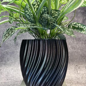 May include: A black plant pot with a vertical, spiraling, wave-like texture containing a leafy plant with variegated green and white foliage. The pot has a rounded, bulbous shape and a dark, slightly shimmering finish, holding the plant upright.