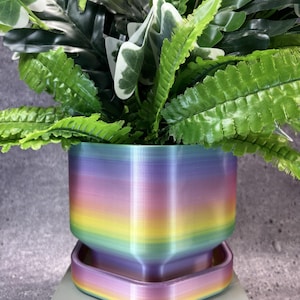 Unique Planter-Pot for Succulents, Cactus or any Plant with built in drainage tray (Multi color) - 6"x5" - Medium; USA Store