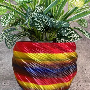 Pode incluir: Um vaso de cerâmica colorido, em espiral, com cores de arco-íris, com uma planta verde com manchas brancas crescendo dentro.