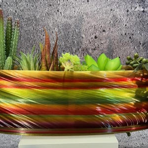 Puede incluir: Una jardinera oblonga con un diseño en espiral en tonos rojos, amarillos y verdes. La jardinera contiene una variedad de suculentas y cactus, incluyendo un cactus verde alto y plantas verdes colgantes. La jardinera se asienta sobre una base blanca.