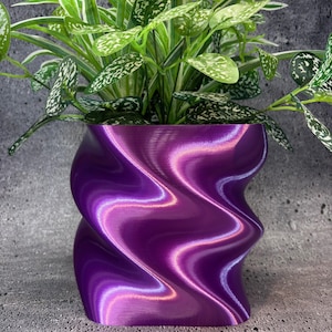 May include: A striking purple plant pot with a distinctive wavy design, containing a green plant with speckled leaves. The pot's surface has a textured finish. The pot is a stylish addition to any home, with a modern aesthetic.