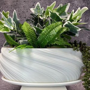 May include: White ceramic planter with a swirling design, featuring a variety of green leafy plants.