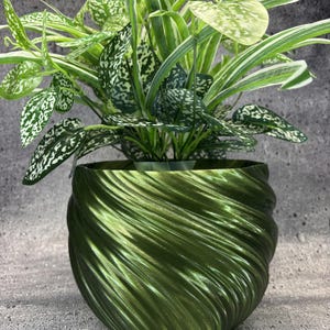 Grande vaso da fiori a spirale per piante di ogni tipo (colore verde oliva cristallino) - 20 cm di diametro per 15 cm di altezza; Fioriera moderna; Negozio USA