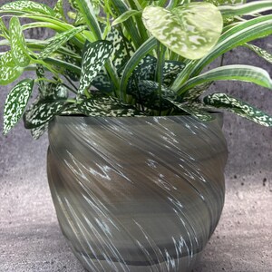 May include: A houseplant with green and white speckled leaves in a gray, swirled-design pot. The pot has a textured appearance with light gray and white streaks. The plant is a houseplant, adding a touch of nature to any space.