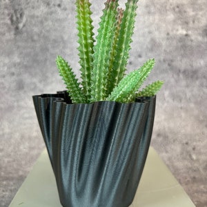 Puede incluir: Una maceta de cerámica negra ondulada y texturizada con una planta suculenta verde en su interior.