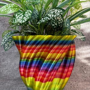 cast iron plant pots Cast Iron Plant – Hey Rooted