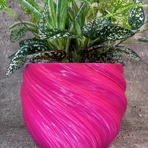 Könnte beinhalten: Ein leuchtend pinkfarbener Blumentopf mit einem strukturierten Wirbelmuster, der eine grüne Pflanze mit weiß gefleckten Blättern enthält. Die leuchtende Farbe des Topfes kontrastiert mit dem Laub der Pflanze. Der Topf ist wahrscheinlich aus Kunststoff oder Keramik.