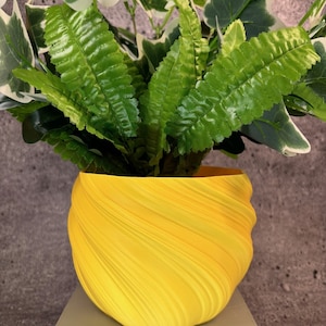 Puede incluir: Una maceta amarilla vibrante, con textura en espiral, que contiene un helecho verde. La maceta está sobre una superficie blanca, con una pared gris de fondo. La planta tiene hojas verdes y blancas.